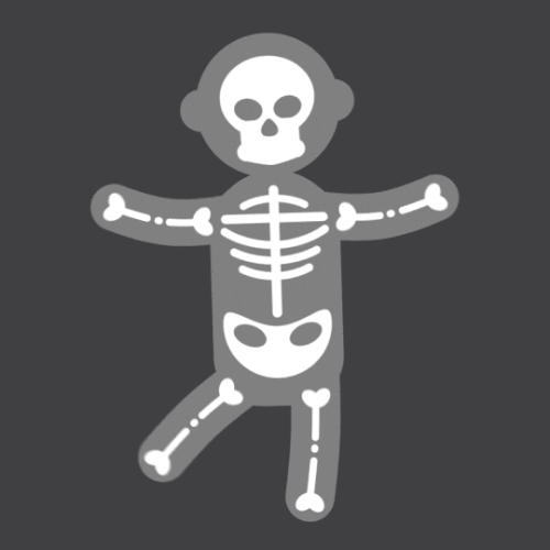 Skeleton